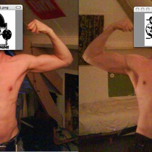 mei 2007 - februari 2008