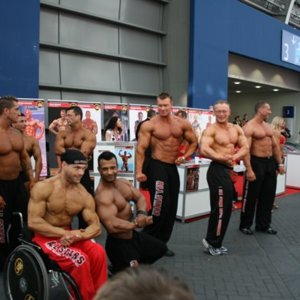 fibo 2008