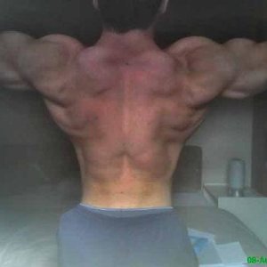 Back Double Biceps 2