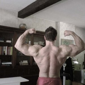 Rugje rebound 101 kg