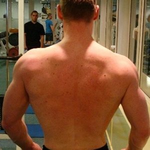 trainings vorderingen.