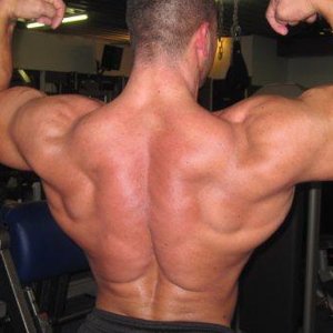 Road 2 the Arnold Classic 2010