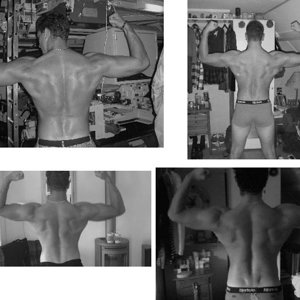 Progressie feauteaus