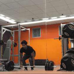 Halfjaartje geleden begonnen met dl