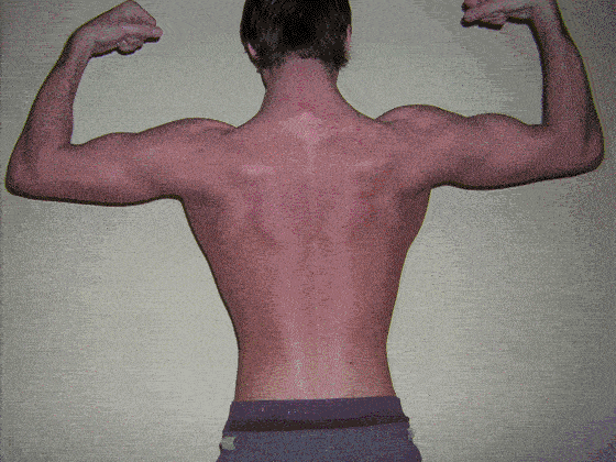 achterzijde dubbel bicep..