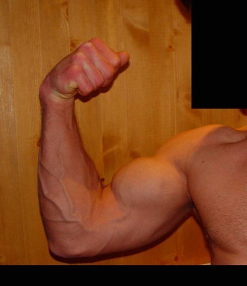 bicep 6 maanden