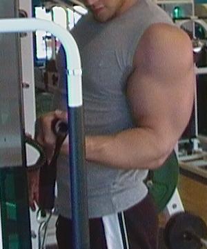 bicep