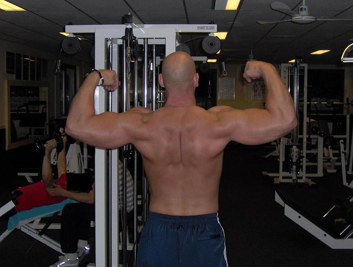 biceps back