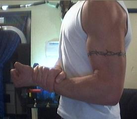 Biceps1