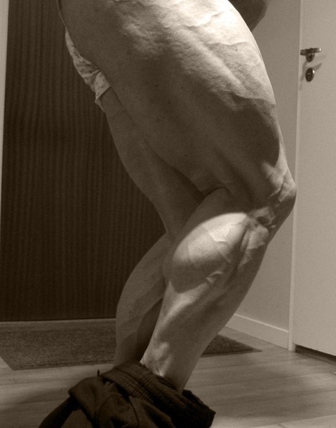 hams en kuiten (Fake!)