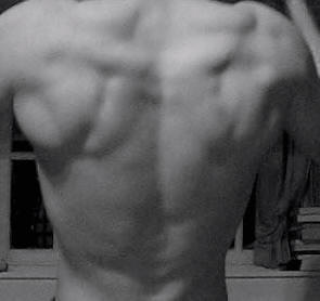 optrekkende in de ringen