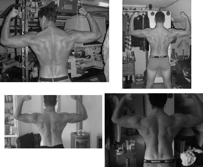 Progressie feauteaus