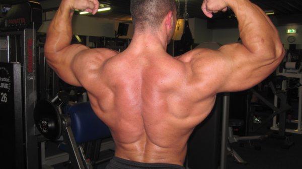 Road 2 the Arnold Classic 2010