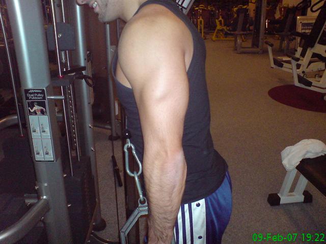 triceps