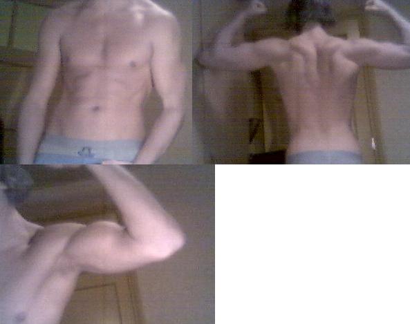 Voorkant, achterkant en biceps